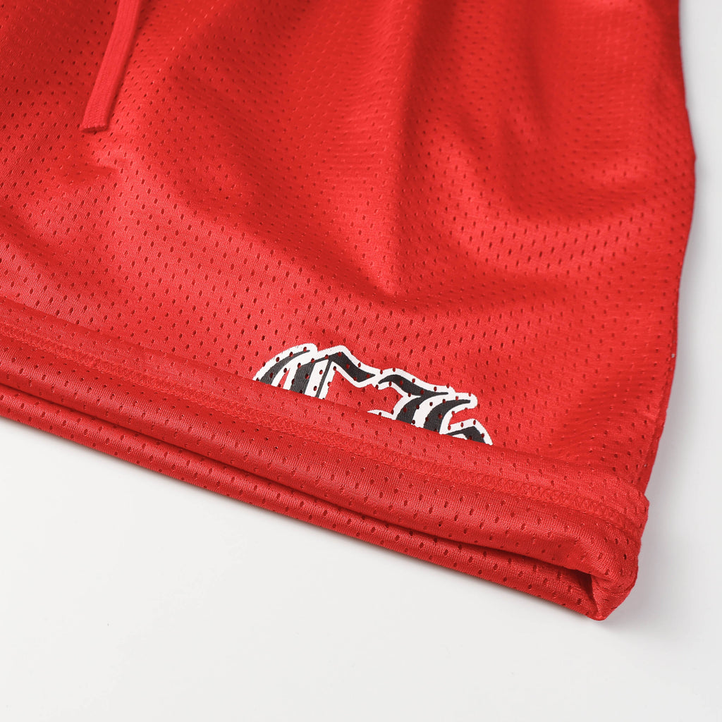 CHROME-HEARTS Matty Boy Mesh Stadium Sports Shorts 9996-2