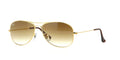 Ray-Ban Cockpit 3362 001/51 - As Seen On Jada Pinkett Smith & Wyclef Jean