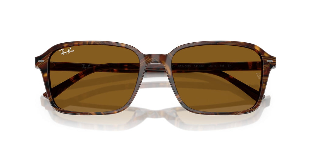 Ray-Ban Raimond RB 2231 1418/33 - As Seen On Alex Warren