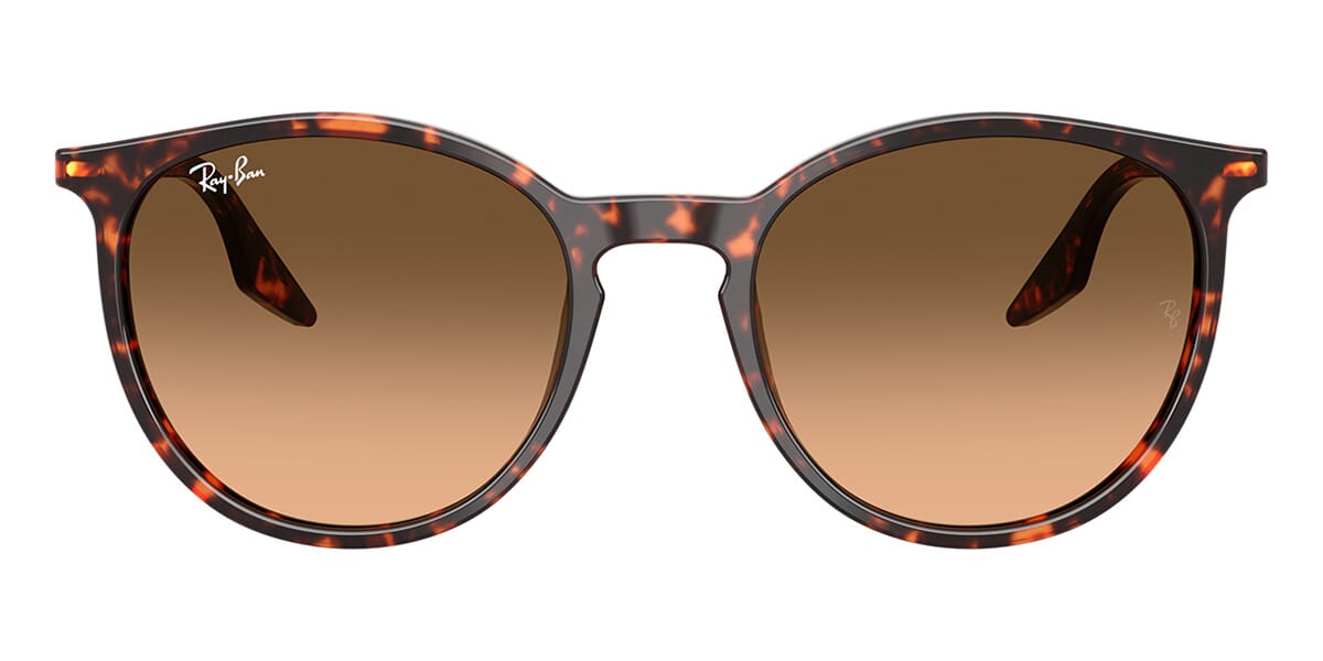 Ray-Ban RB 2204 1429/3B