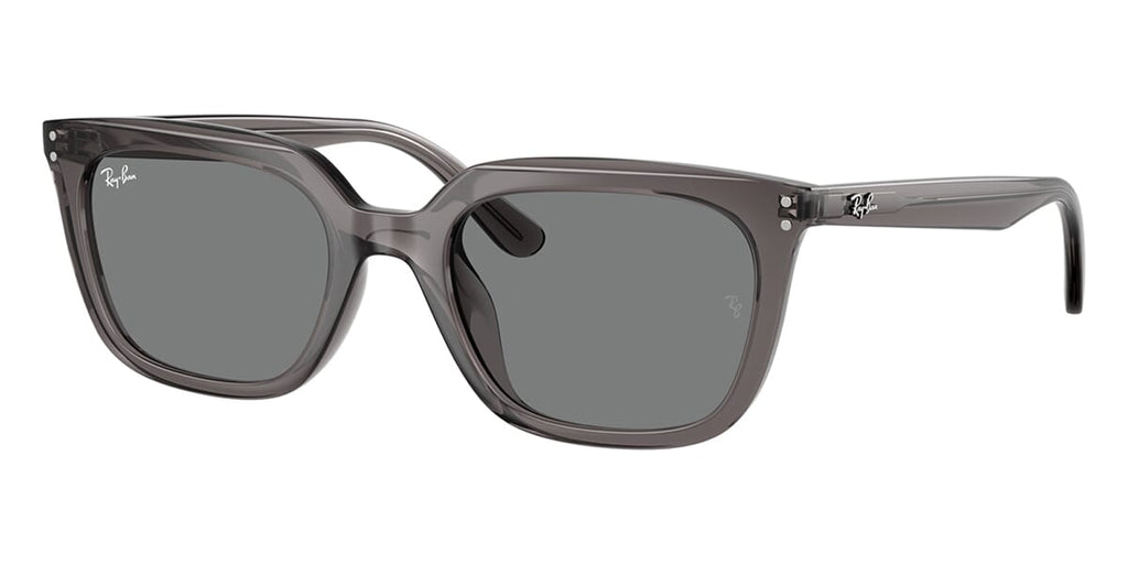 Ray-Ban RB 4439D 6675/87