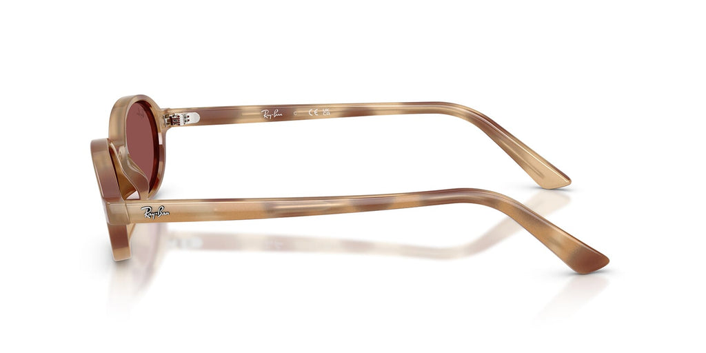 Ray-Ban RB 4472 6856/75